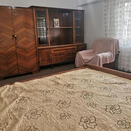 Garsoniera Daire Craiova Dış mekan fotoğraf